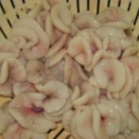 加熱しても まるで生 鱈の白子とモズクの酢の物 レシピ 作り方 By ブルーボリジ 楽天レシピ 加熱しても まるで生 鱈の白子とモズクの酢の物 レシピ 作り方 By ブルーボリジ 楽天レシピ